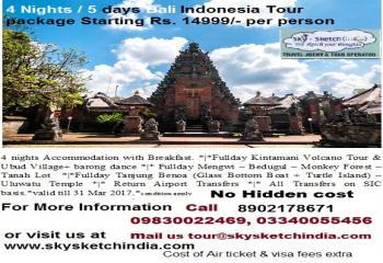 Bali tour package $225 per person 